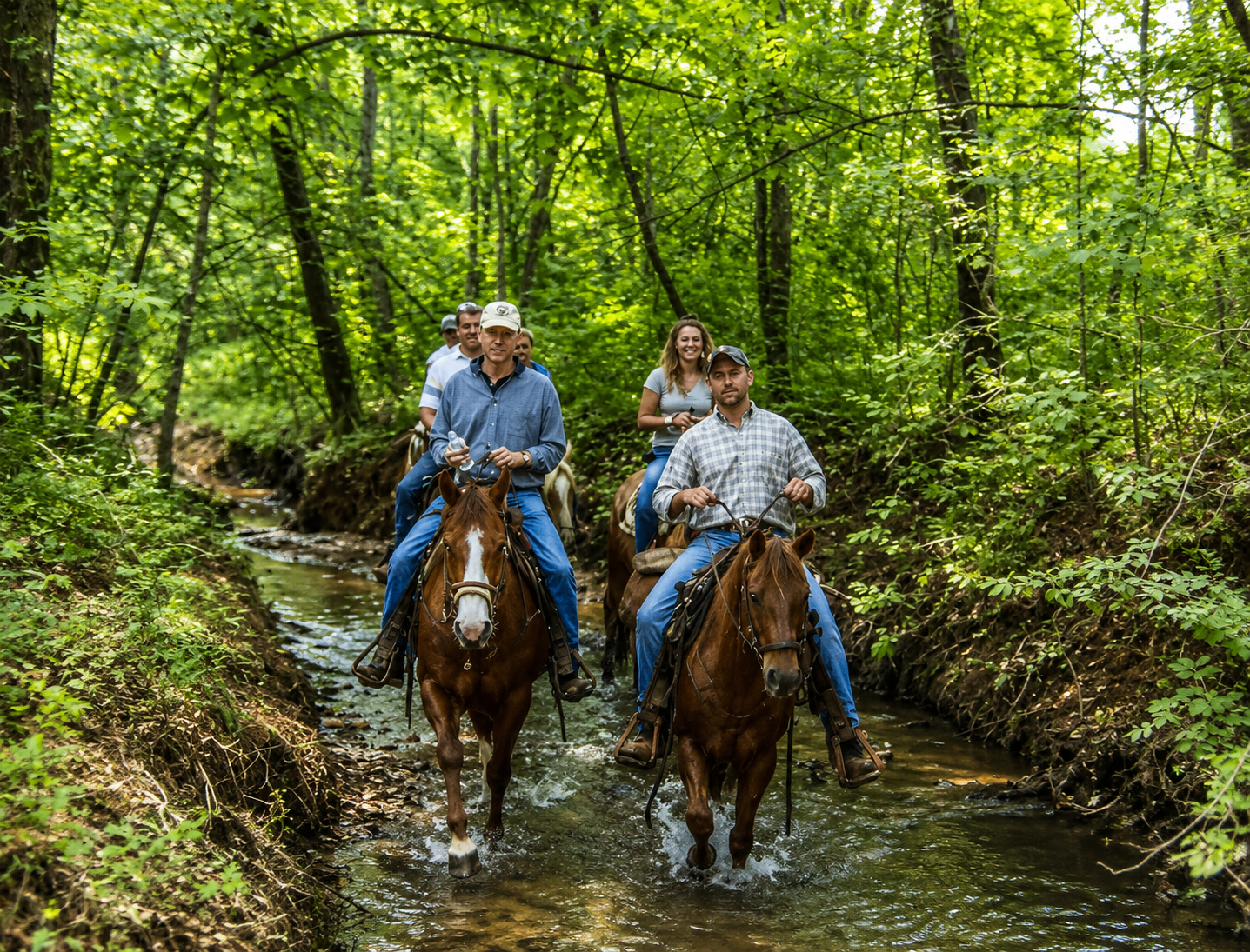 Riders on horseback crossing a wooded creek on a trail near Love Valley